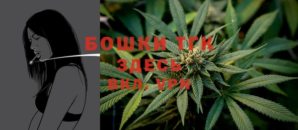 тгк Алзамай