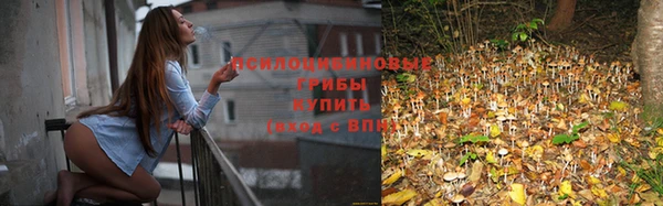 марки lsd Абаза
