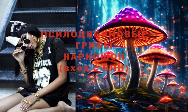марки lsd Абаза