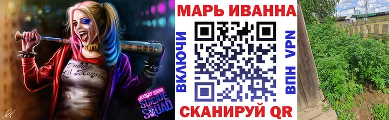 Конопля сатива  Сокол 